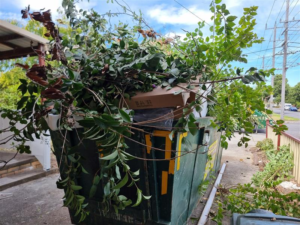Skip bin Hire Flemington