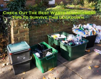 Check Out The Best Waste Management Tips To Survive This Lockdown